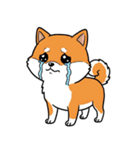 シュールでかわいい柴犬のスタンプ（個別スタンプ：3）