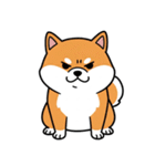 シュールでかわいい柴犬のスタンプ（個別スタンプ：4）