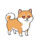 シュールでかわいい柴犬のスタンプ（個別スタンプ：10）