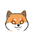 シュールでかわいい柴犬のスタンプ（個別スタンプ：11）
