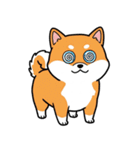 シュールでかわいい柴犬のスタンプ（個別スタンプ：12）
