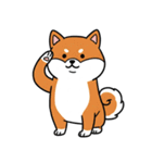 シュールでかわいい柴犬のスタンプ（個別スタンプ：13）