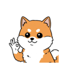 シュールでかわいい柴犬のスタンプ（個別スタンプ：14）