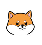 シュールでかわいい柴犬のスタンプ（個別スタンプ：16）