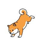 シュールでかわいい柴犬のスタンプ（個別スタンプ：17）