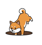 シュールでかわいい柴犬のスタンプ（個別スタンプ：25）