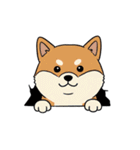 シュールでかわいい柴犬のスタンプ（個別スタンプ：26）