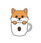シュールでかわいい柴犬のスタンプ（個別スタンプ：34）