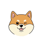 シュールでかわいい柴犬のスタンプ（個別スタンプ：37）