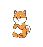 シュールでかわいい柴犬のスタンプ（個別スタンプ：38）