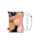 Growing WE（個別スタンプ：12）