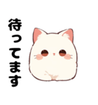 あざとすぎる白猫（個別スタンプ：5）