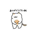 むぎねこ【毎日】（個別スタンプ：9）