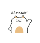むぎねこ【毎日】（個別スタンプ：40）