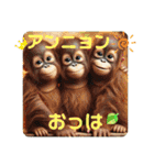 韓国語＆日本語で動物達が日常会話⭐️（個別スタンプ：1）