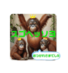 韓国語＆日本語で動物達が日常会話⭐️（個別スタンプ：4）