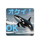 韓国語＆日本語で動物達が日常会話⭐️（個別スタンプ：11）
