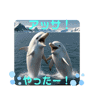 韓国語＆日本語で動物達が日常会話⭐️（個別スタンプ：13）