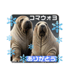 韓国語＆日本語で動物達が日常会話⭐️（個別スタンプ：14）