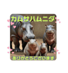 韓国語＆日本語で動物達が日常会話⭐️（個別スタンプ：15）