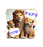 韓国語＆日本語で動物達が日常会話⭐️（個別スタンプ：21）