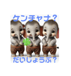 韓国語＆日本語で動物達が日常会話⭐️（個別スタンプ：27）