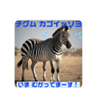 韓国語＆日本語で動物達が日常会話⭐️（個別スタンプ：33）
