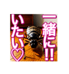 【告白をする♡】〜リアルゴキブリ〜（個別スタンプ：3）