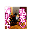 【告白をする♡】〜リアルゴキブリ〜（個別スタンプ：4）