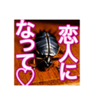【告白をする♡】〜リアルゴキブリ〜（個別スタンプ：6）