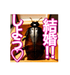 【告白をする♡】〜リアルゴキブリ〜（個別スタンプ：9）