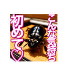 【告白をする♡】〜リアルゴキブリ〜（個別スタンプ：10）