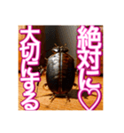 【告白をする♡】〜リアルゴキブリ〜（個別スタンプ：11）