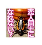 【告白をする♡】〜リアルゴキブリ〜（個別スタンプ：13）