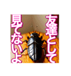 【告白をする♡】〜リアルゴキブリ〜（個別スタンプ：15）