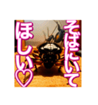 【告白をする♡】〜リアルゴキブリ〜（個別スタンプ：20）