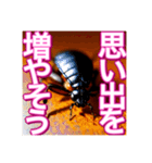 【告白をする♡】〜リアルゴキブリ〜（個別スタンプ：23）