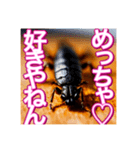 【告白をする♡】〜リアルゴキブリ〜（個別スタンプ：24）