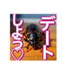 【告白をする♡】〜リアルゴキブリ〜（個別スタンプ：25）