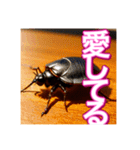 【告白をする♡】〜リアルゴキブリ〜（個別スタンプ：30）