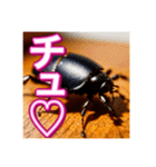 【告白をする♡】〜リアルゴキブリ〜（個別スタンプ：32）