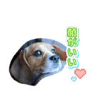 りっくんりつくんりっくんんくんくんん（個別スタンプ：14）