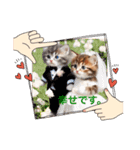 夫婦になりました。（個別スタンプ：7）