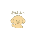 「ふわふわトイプー」（個別スタンプ：1）