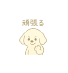 「ふわふわトイプー」（個別スタンプ：5）