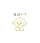 「ふわふわトイプー」（個別スタンプ：9）