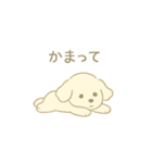 「ふわふわトイプー」（個別スタンプ：10）