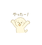「ふわふわトイプー」（個別スタンプ：12）
