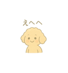 「ふわふわトイプー」（個別スタンプ：13）