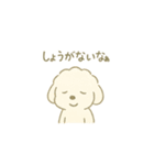 「ふわふわトイプー」（個別スタンプ：16）